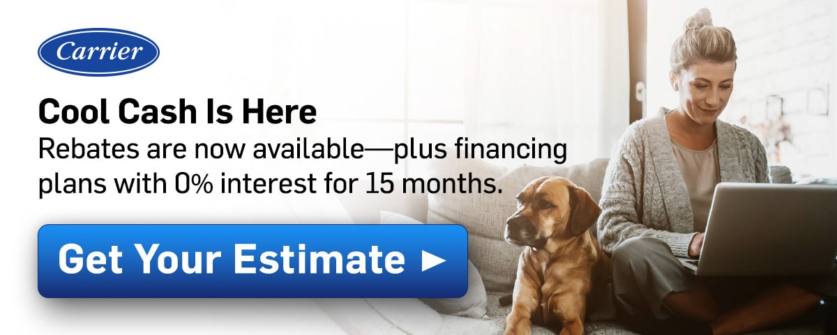 Cool cash promo with woman on laptop sitting next to dog on couch.